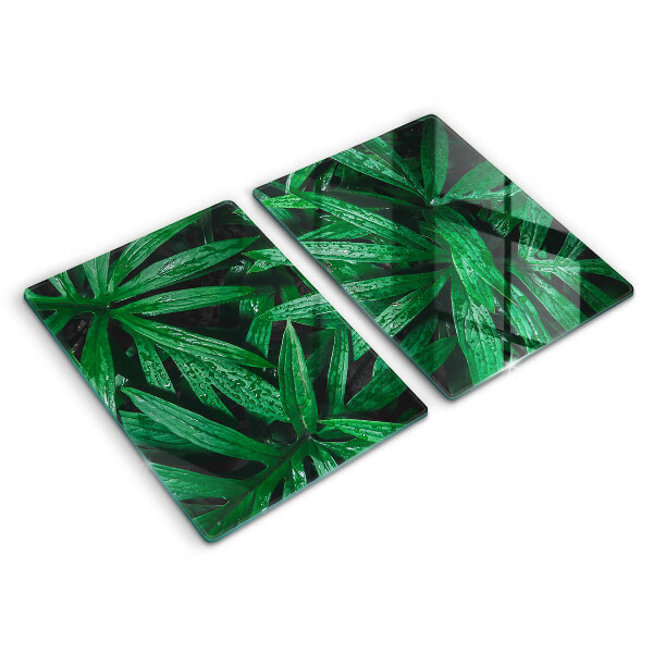 Induction hob cover Plants leaves