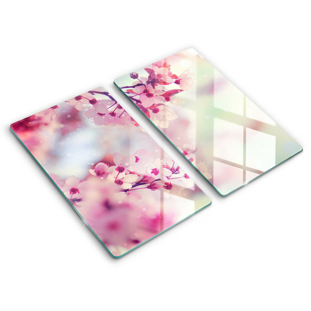 Induction hob cover Nature apple flowers