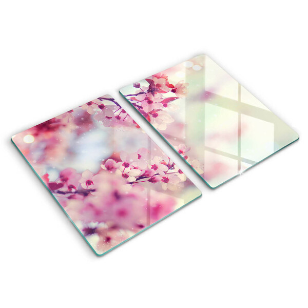 Induction hob cover Nature apple flowers
