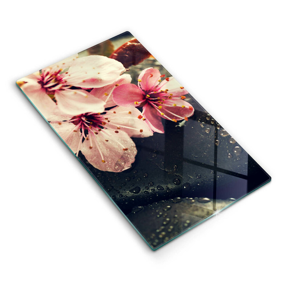 Induction hob protector Flowers stones zen