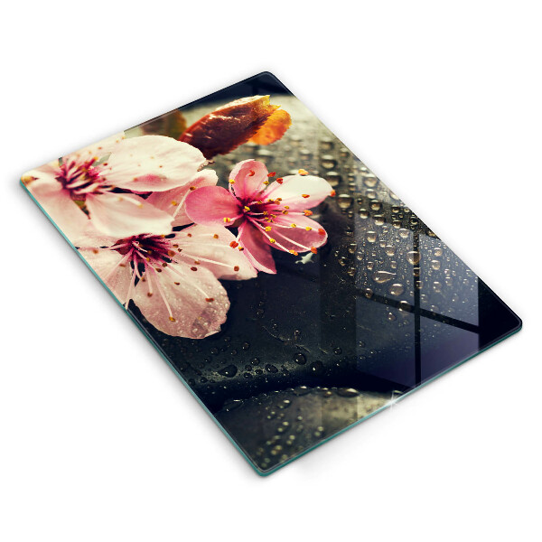 Induction hob protector Flowers stones zen