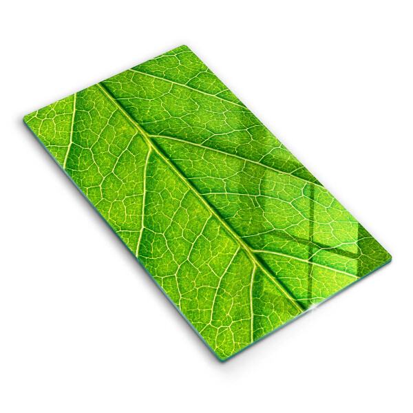 Induction hob protector Leaf lines nature