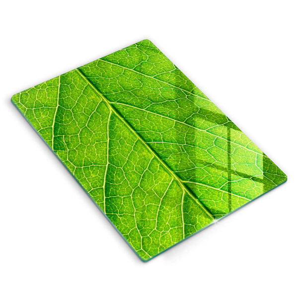 Induction hob protector Leaf lines nature