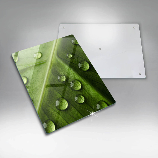 Induction hob protector Nature Rosa and Leaf