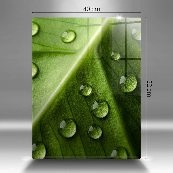 Induction hob protector Nature Rosa and Leaf