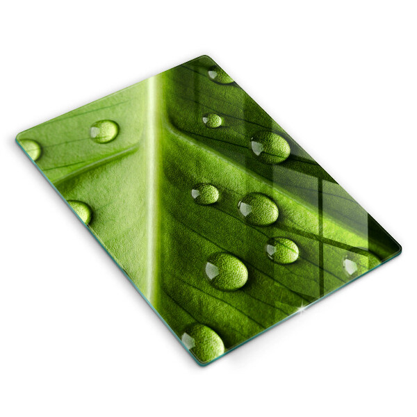 Induction hob protector Nature Rosa and Leaf