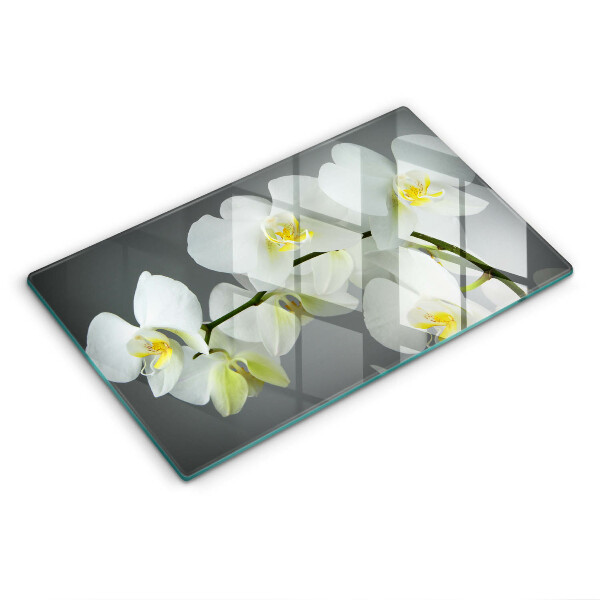 Kitchen countertop cover White orchid flowers