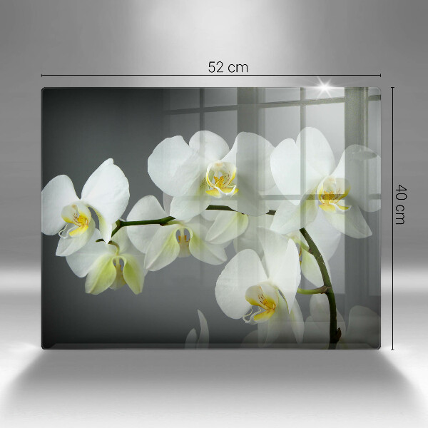 Kitchen countertop cover White orchid flowers