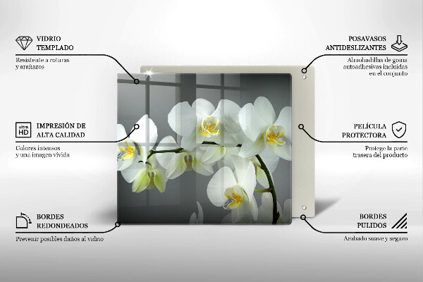 Kitchen worktop saver White orchid flowers