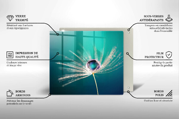Induction hob cover Dew on a dandelion