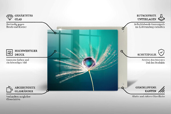 Induction hob cover Dew on a dandelion