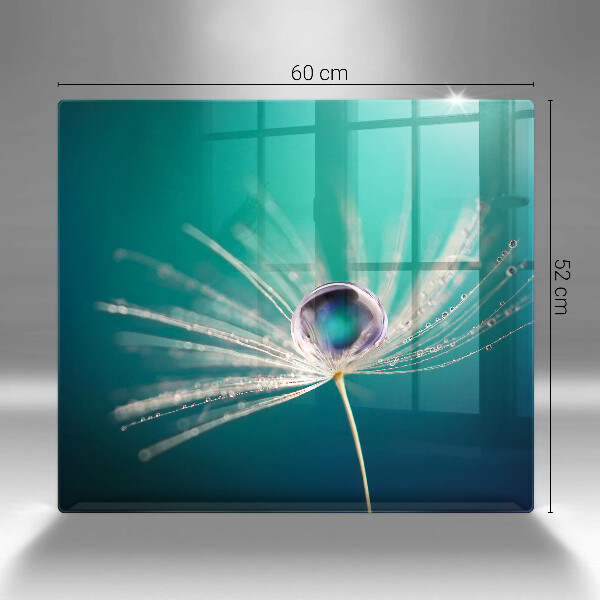 Induction hob cover Dew on a dandelion