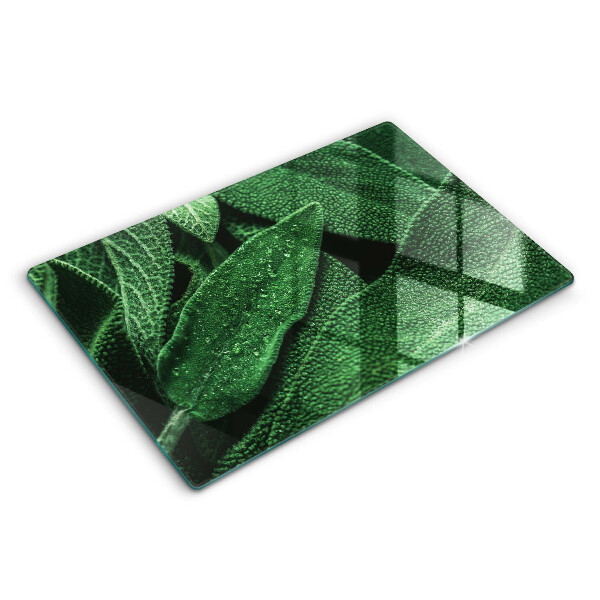 Worktop protector Plant leaves