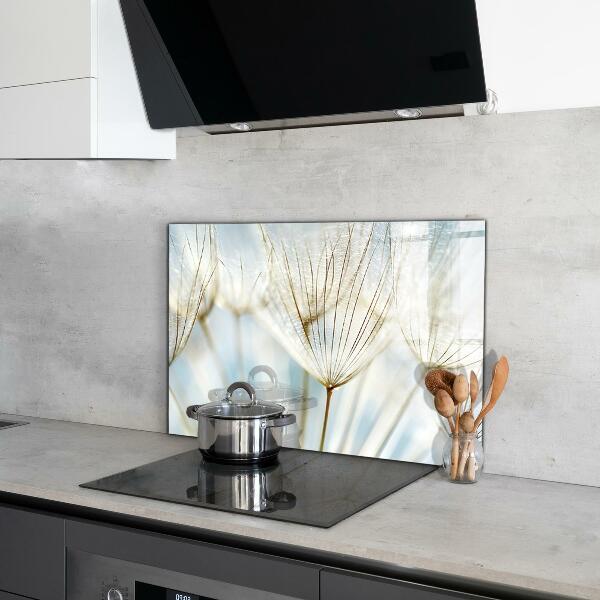 Kitchen splashback Dandelion dandelion in the wind