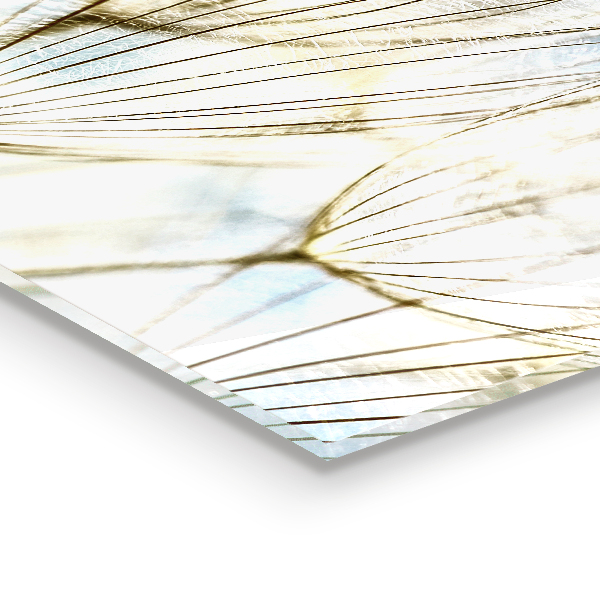 Kitchen splashback Dandelion dandelion in the wind