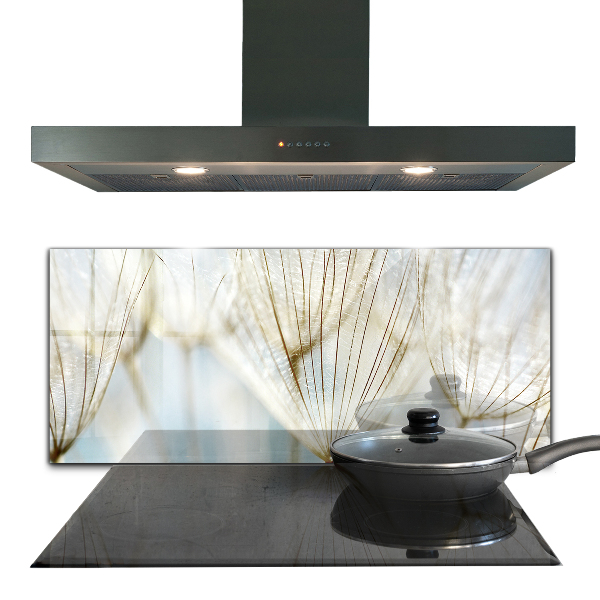 Kitchen splashback Dandelion dandelion in the wind