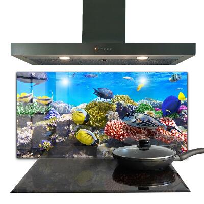 Cooker splashback Coral reef red sea