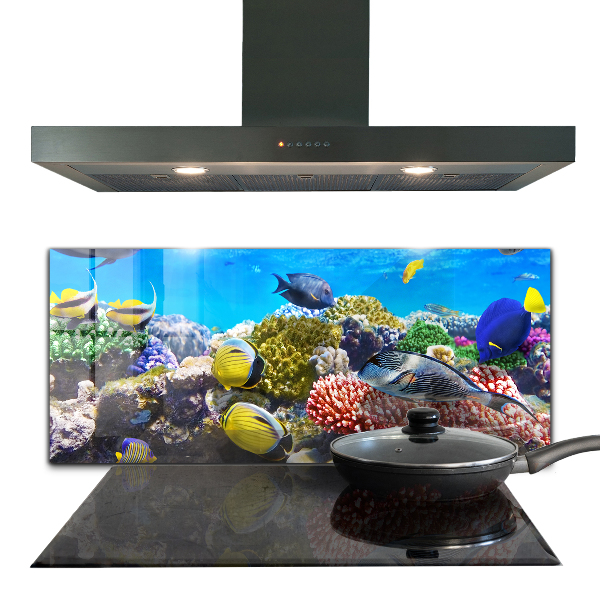 Cooker splashback Coral reef red sea