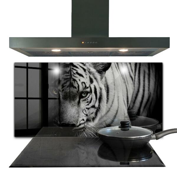 Cooker splashback White siberian tiger