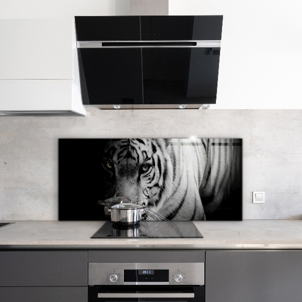Cooker splashback White siberian tiger
