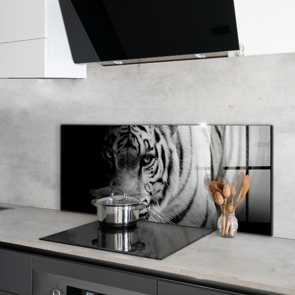 Cooker splashback White siberian tiger