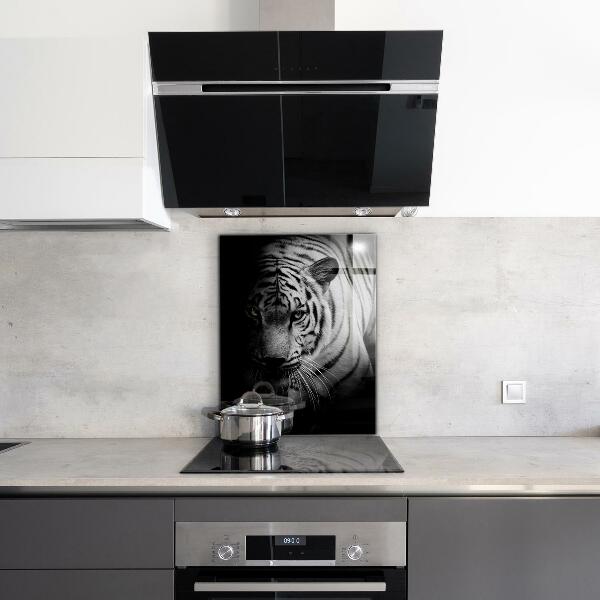 Cooker splashback White siberian tiger