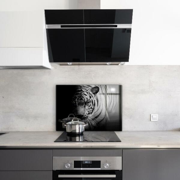 Cooker splashback White siberian tiger