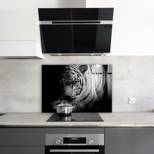 Cooker splashback White siberian tiger