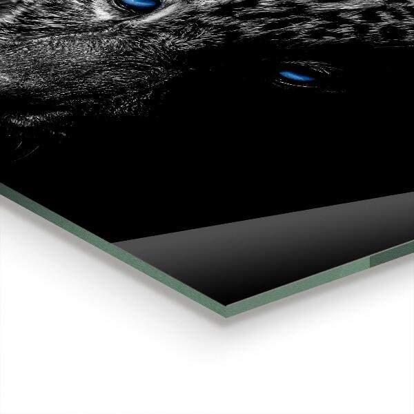 Cooker splashback Dark panther wild cat