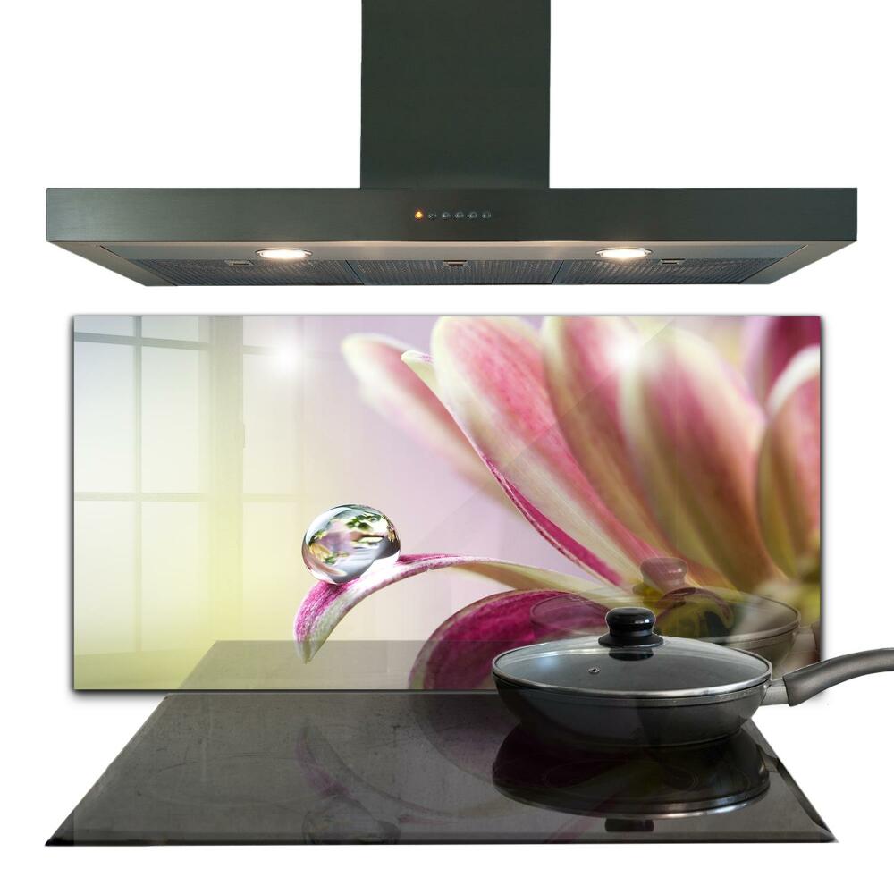 Kitchen splashback Flower with dew drop morning