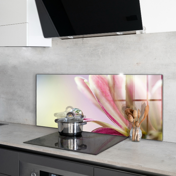 Kitchen splashback Flower with dew drop morning