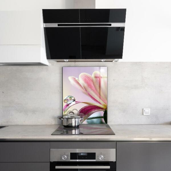 Kitchen splashback Flower with dew drop morning