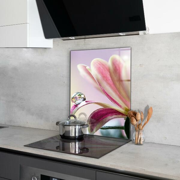 Kitchen splashback Flower with dew drop morning