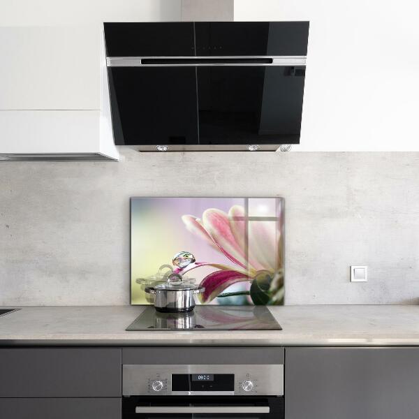Kitchen splashback Flower with dew drop morning