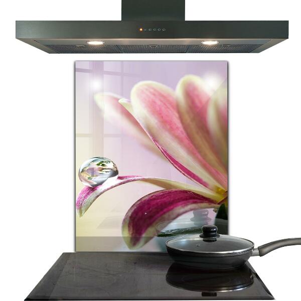 Kitchen splashback Flower with dew drop morning