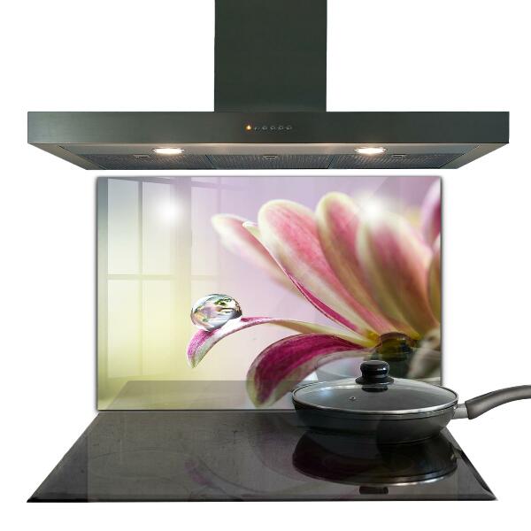 Kitchen splashback Flower with dew drop morning