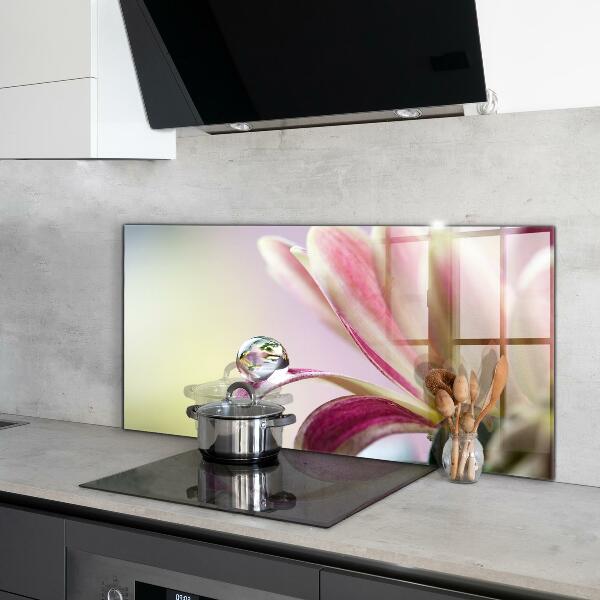 Kitchen splashback Flower with dew drop morning