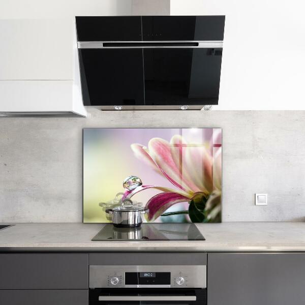 Kitchen splashback Flower with dew drop morning