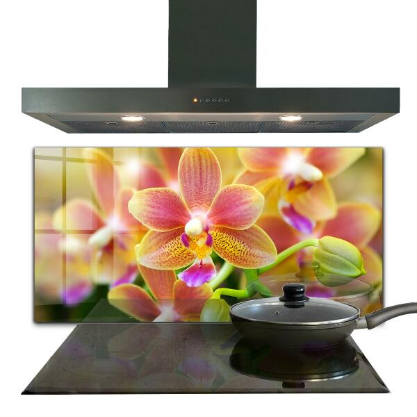 Kitchen splashback Orange orchid