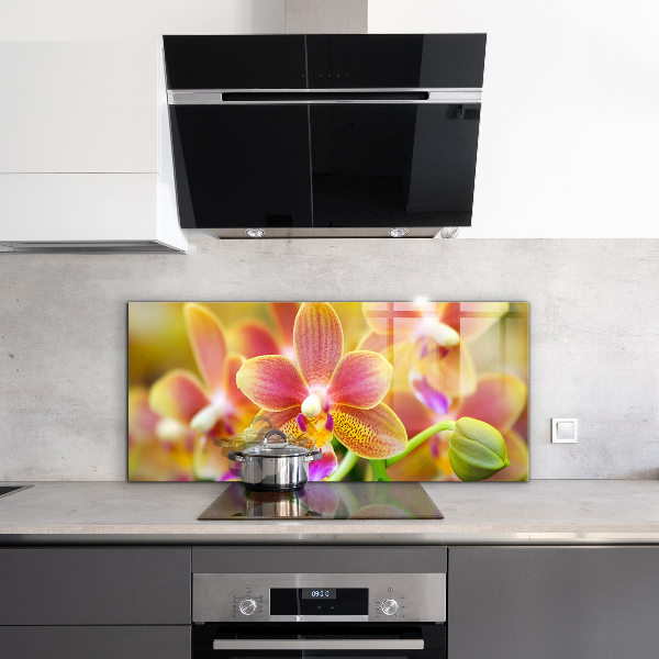 Kitchen splashback Orange orchid
