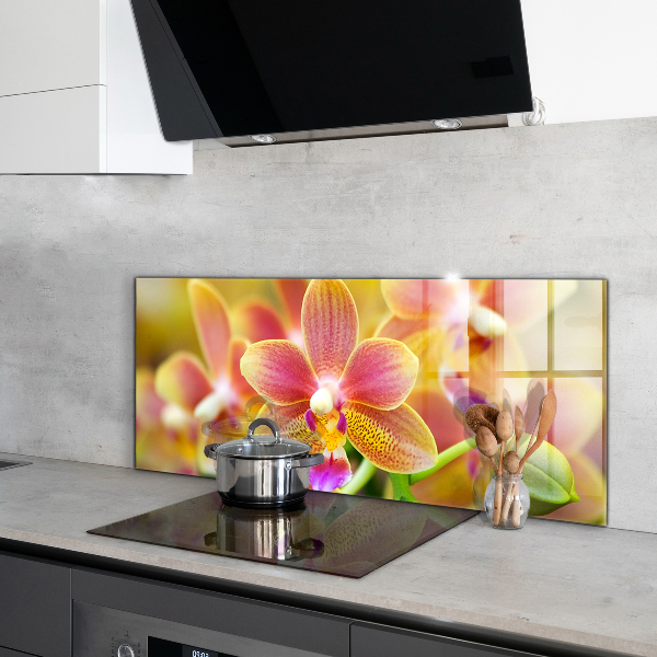 Kitchen splashback Orange orchid