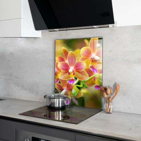 Kitchen splashback Orange orchid
