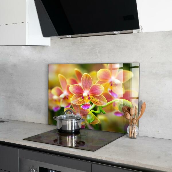 Kitchen splashback Orange orchid