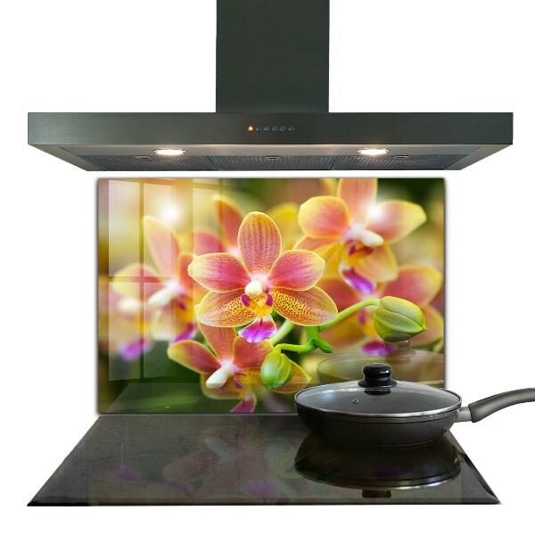 Kitchen splashback Orange orchid