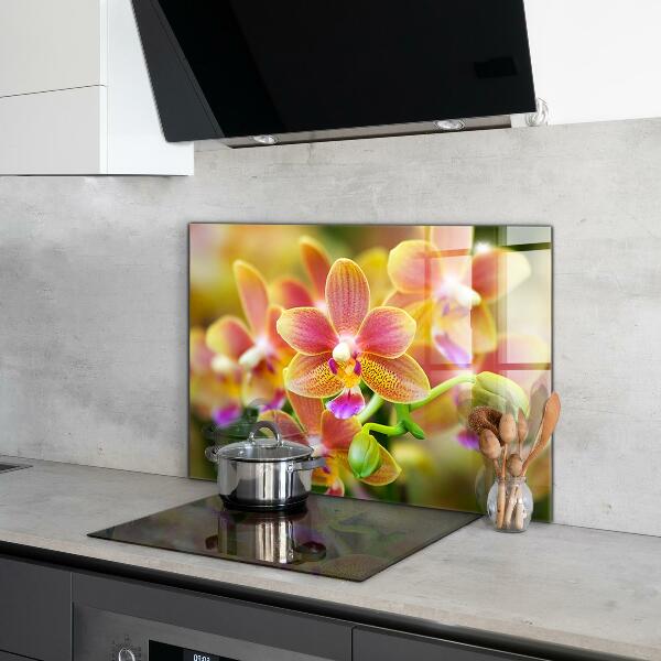 Kitchen splashback Orange orchid