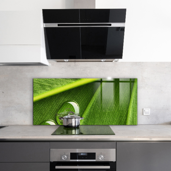 Kitchen splashback Dew drop on a leaf