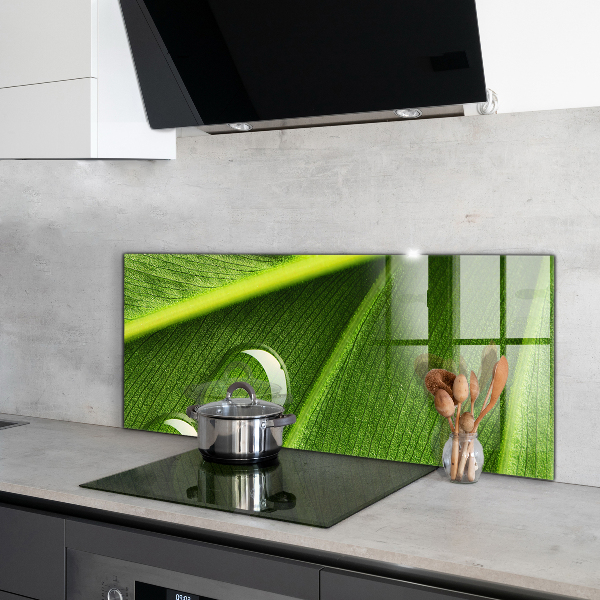 Kitchen splashback Dew drop on a leaf