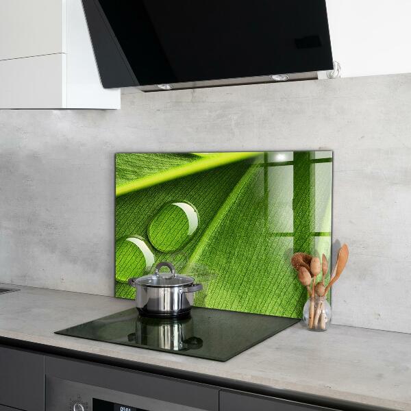 Kitchen splashback Dew drop on a leaf