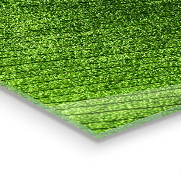 Kitchen splashback Dew drop on a leaf