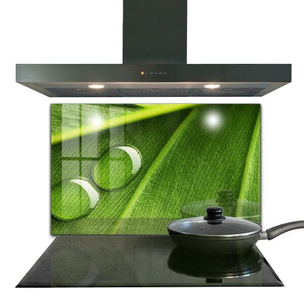 Kitchen splashback Dew drop on a leaf